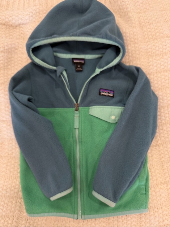 Patagonia Other - Patagonia Kids' Micro D Zip Up